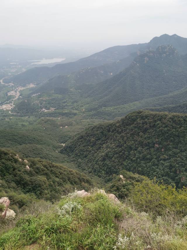 找搭子