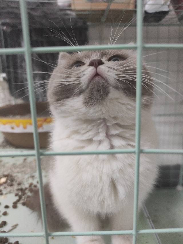 找搭子