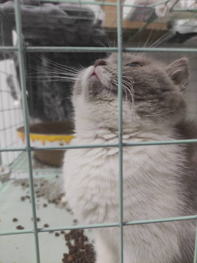 找搭子