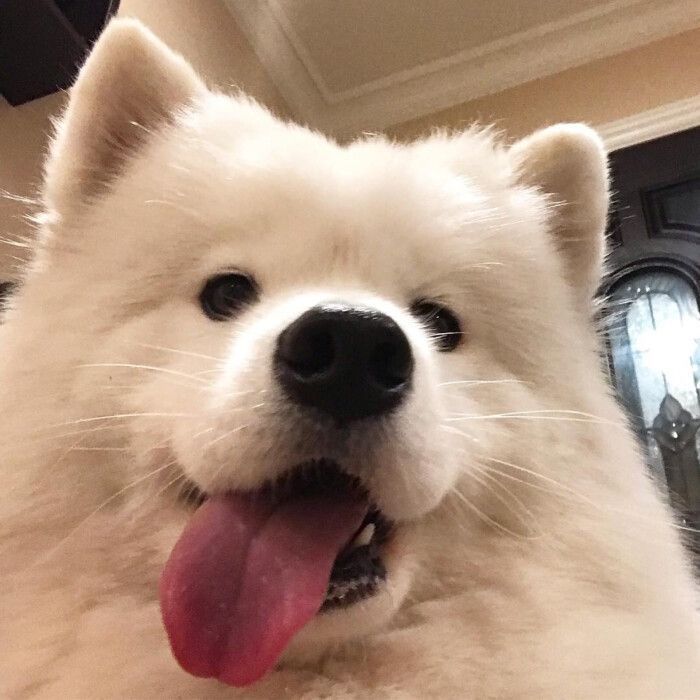 找搭子