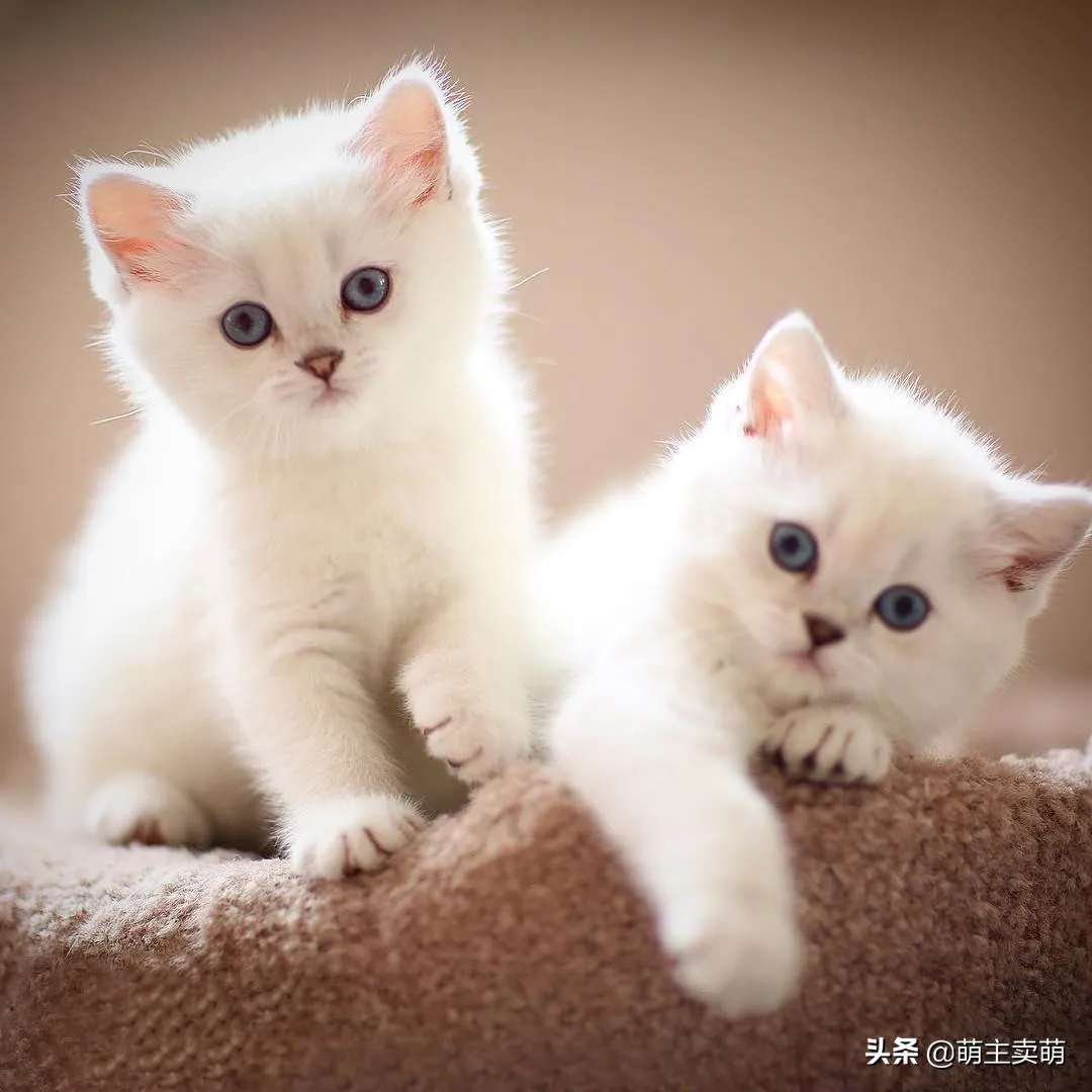 找搭子