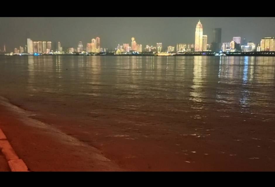 找搭子