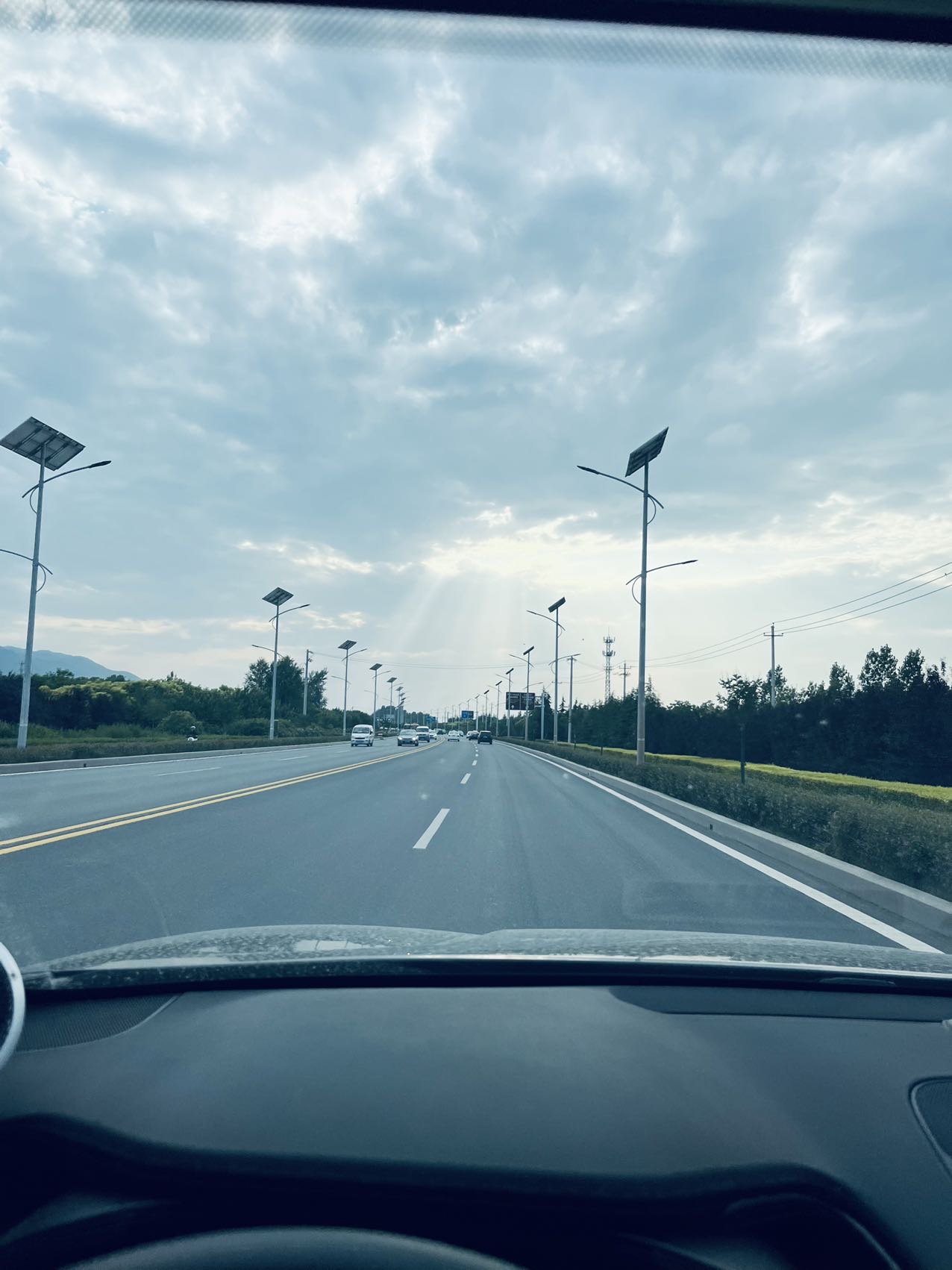 找搭子