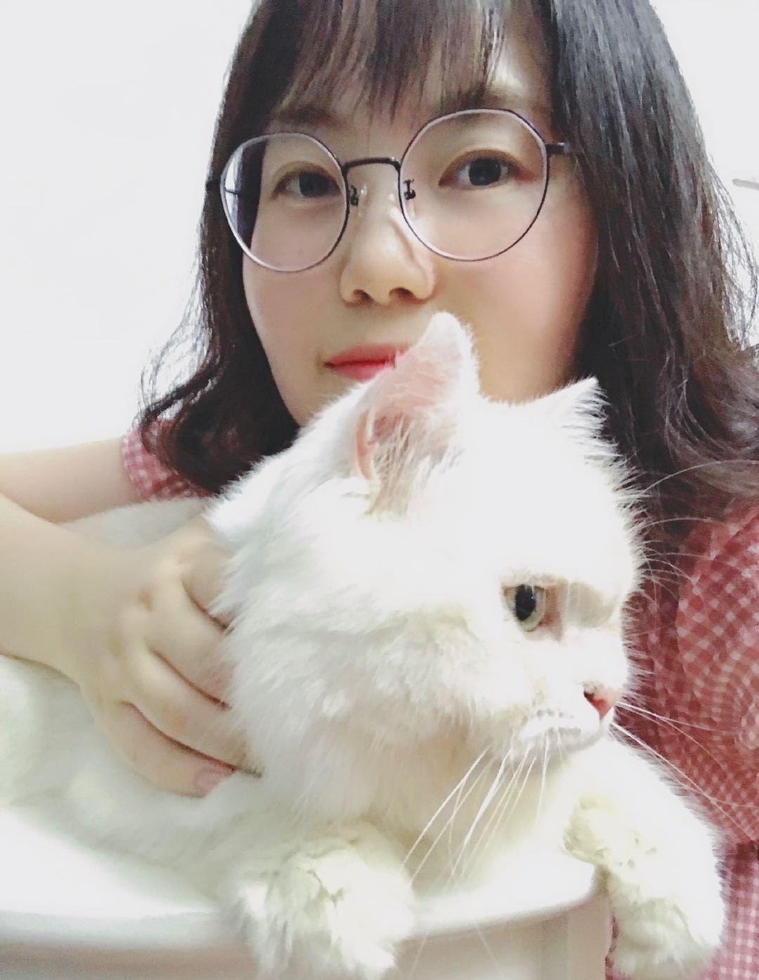 找搭子