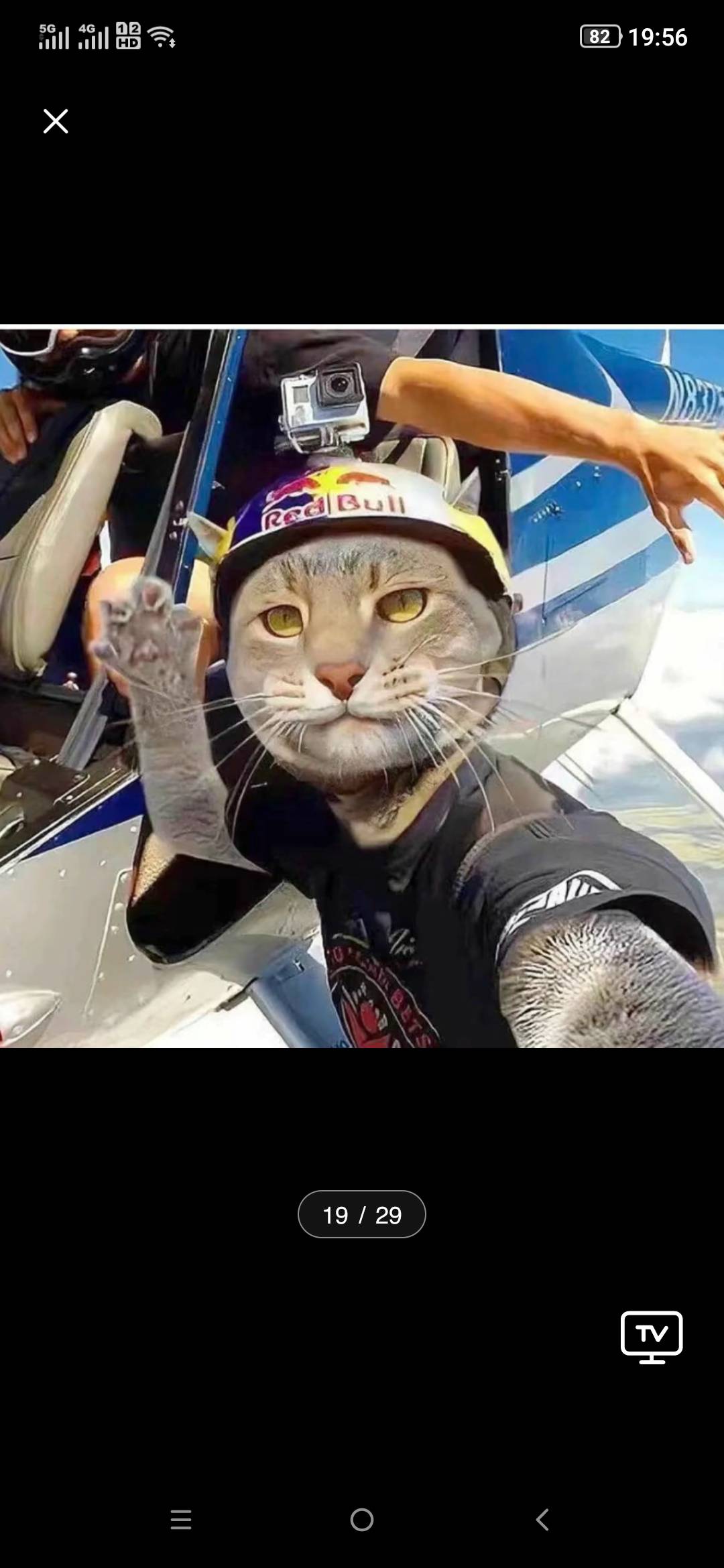 找搭子