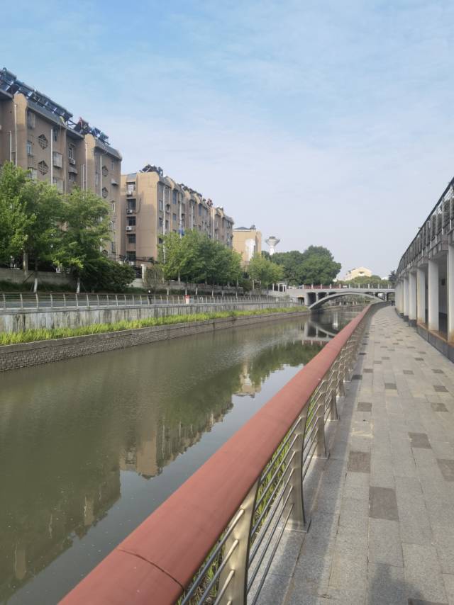 丛丛相亲交友平台