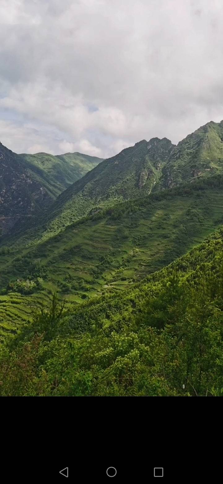丛丛相亲交友平台