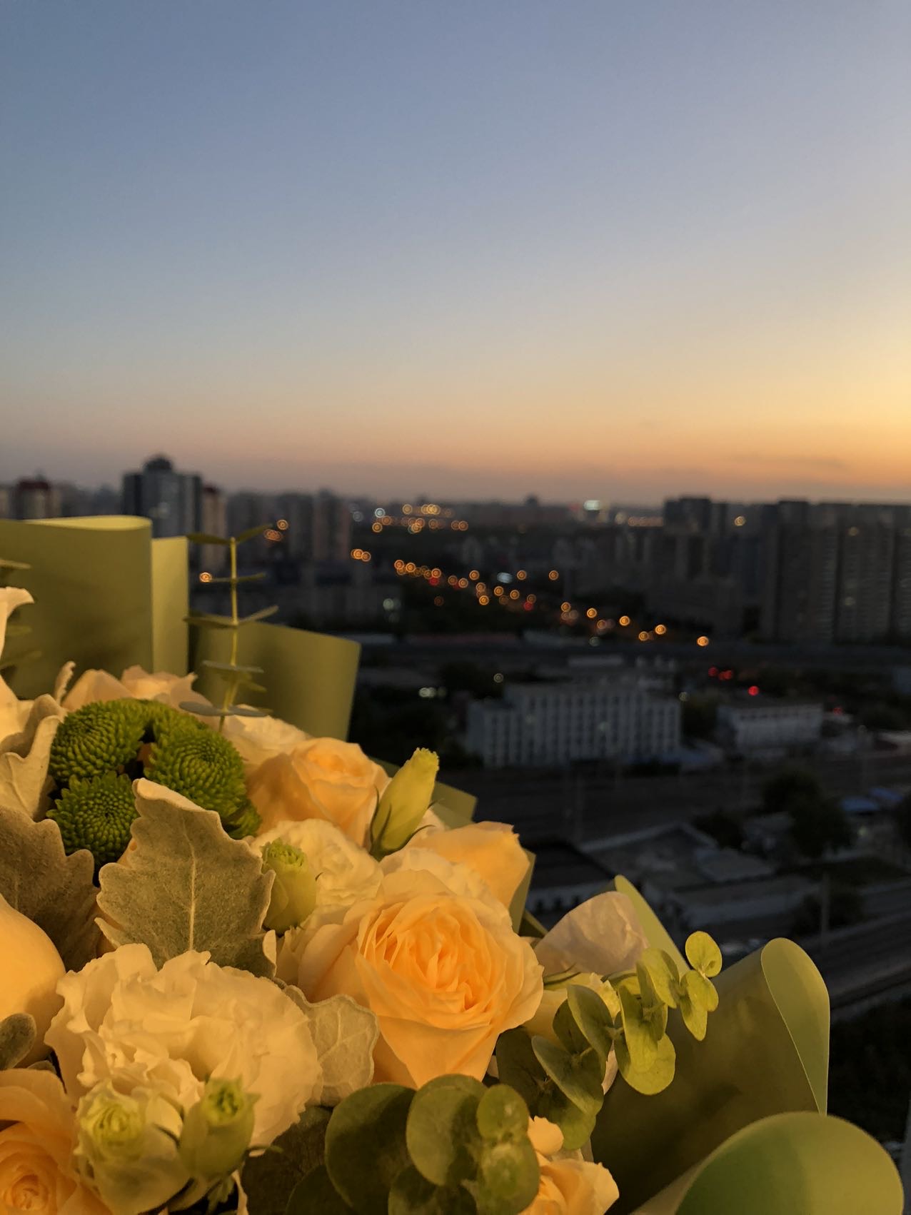 丛丛相亲交友平台