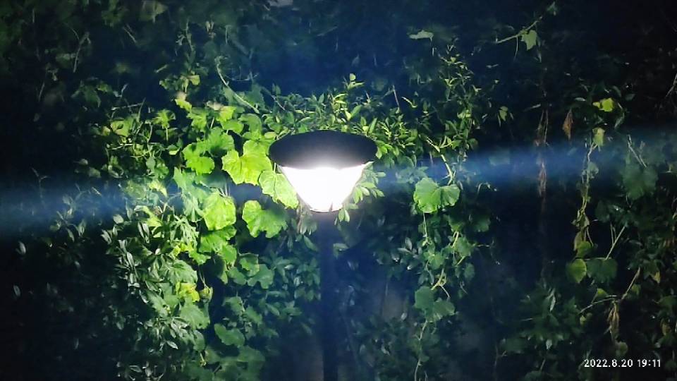 丛丛相亲交友平台