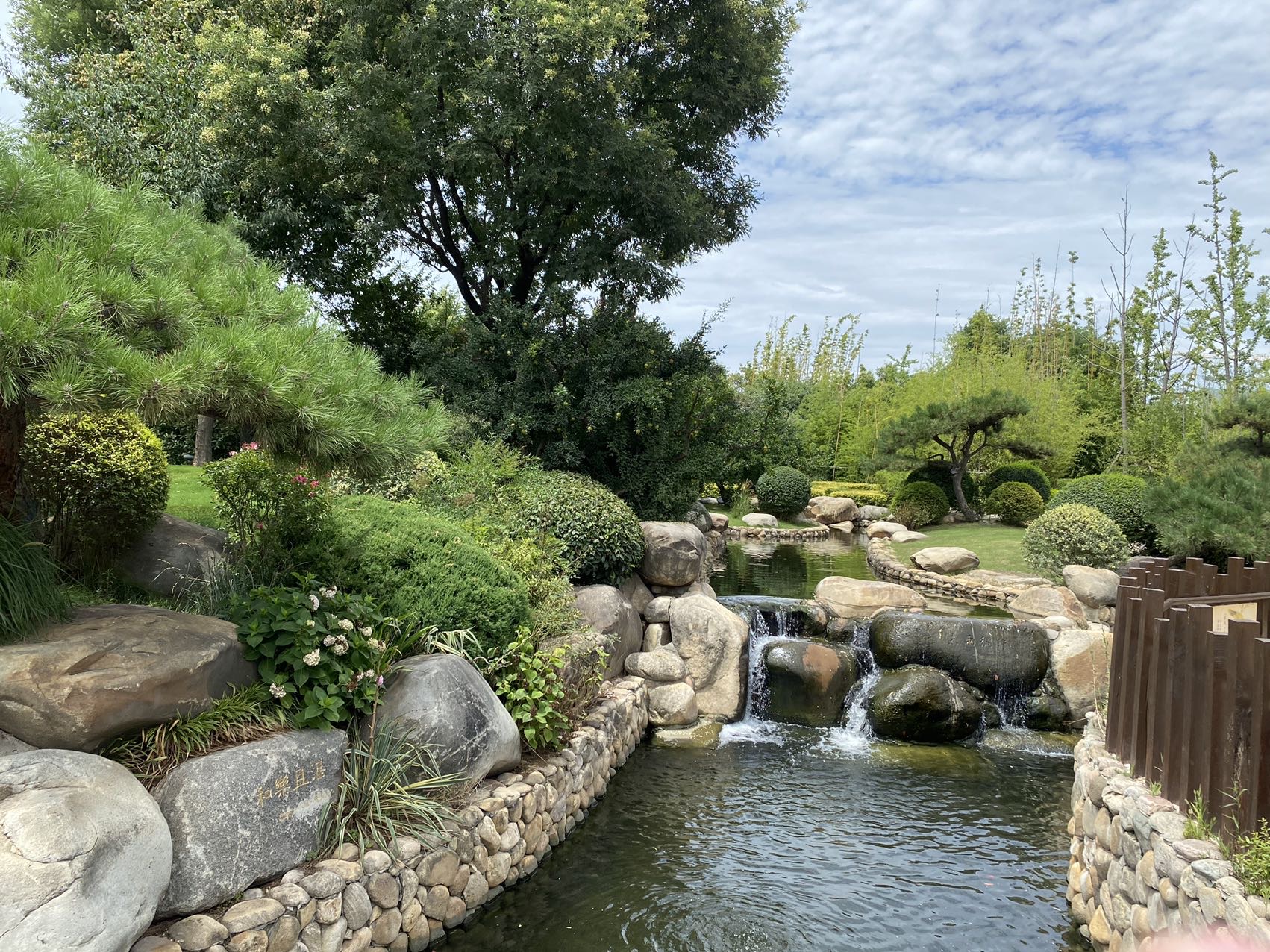 丛丛相亲交友平台