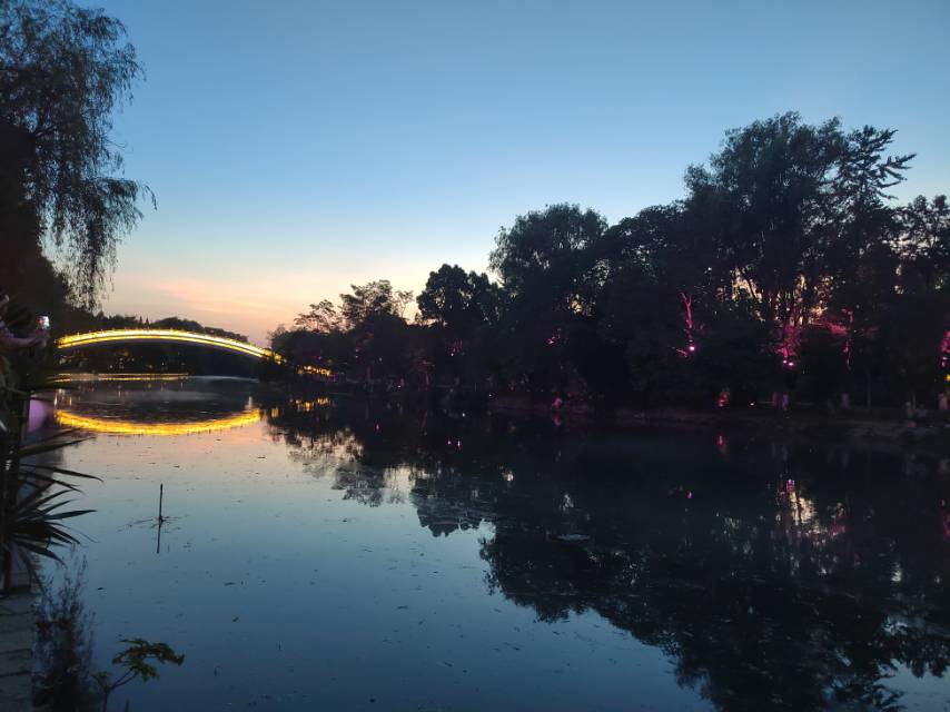 丛丛相亲交友平台