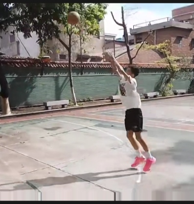 丛丛相亲交友平台