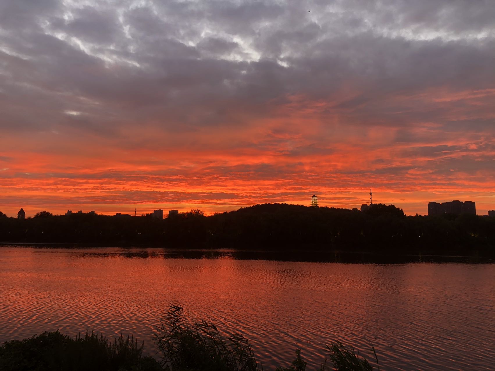 丛丛相亲交友平台