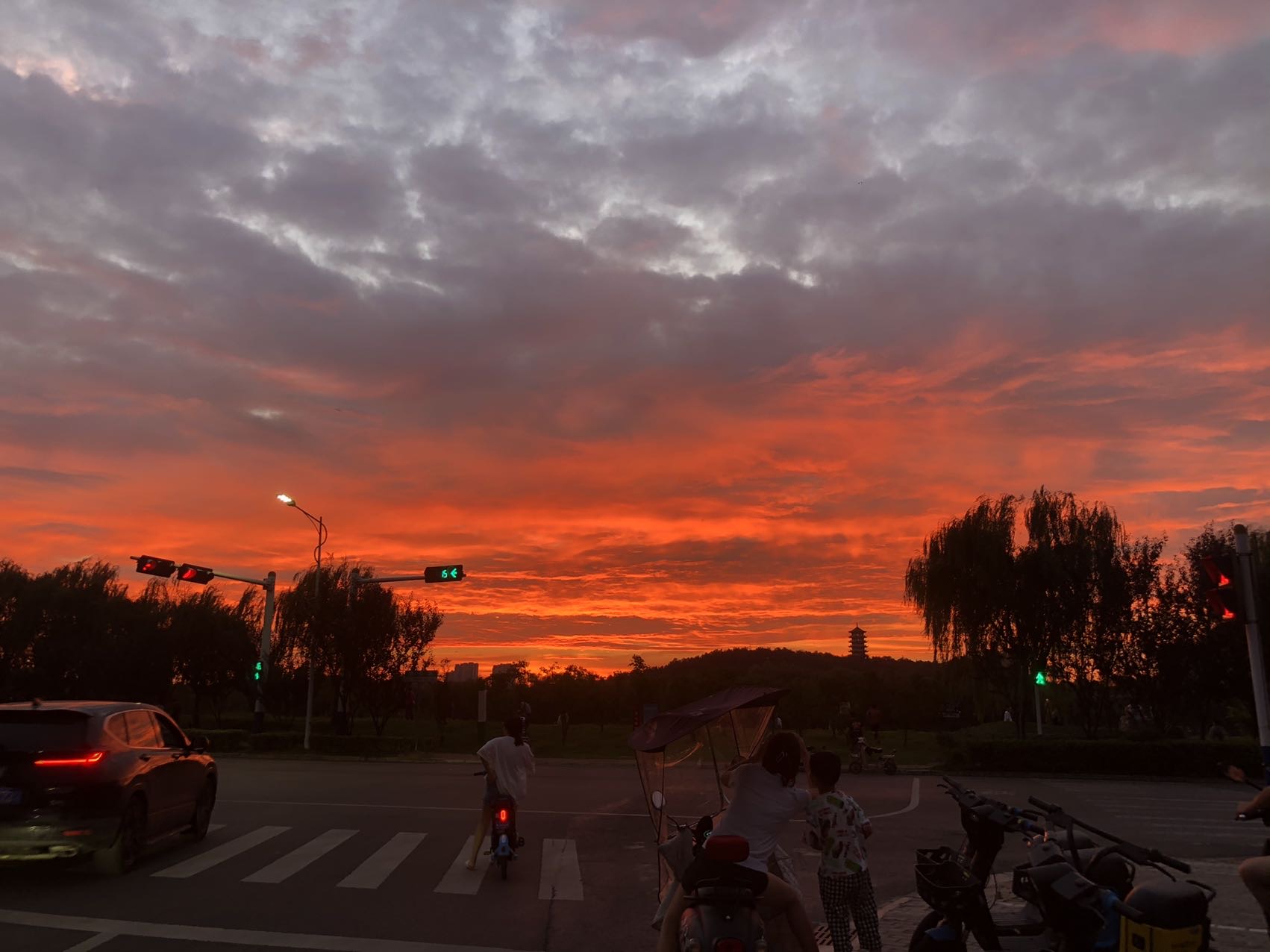 丛丛相亲交友平台