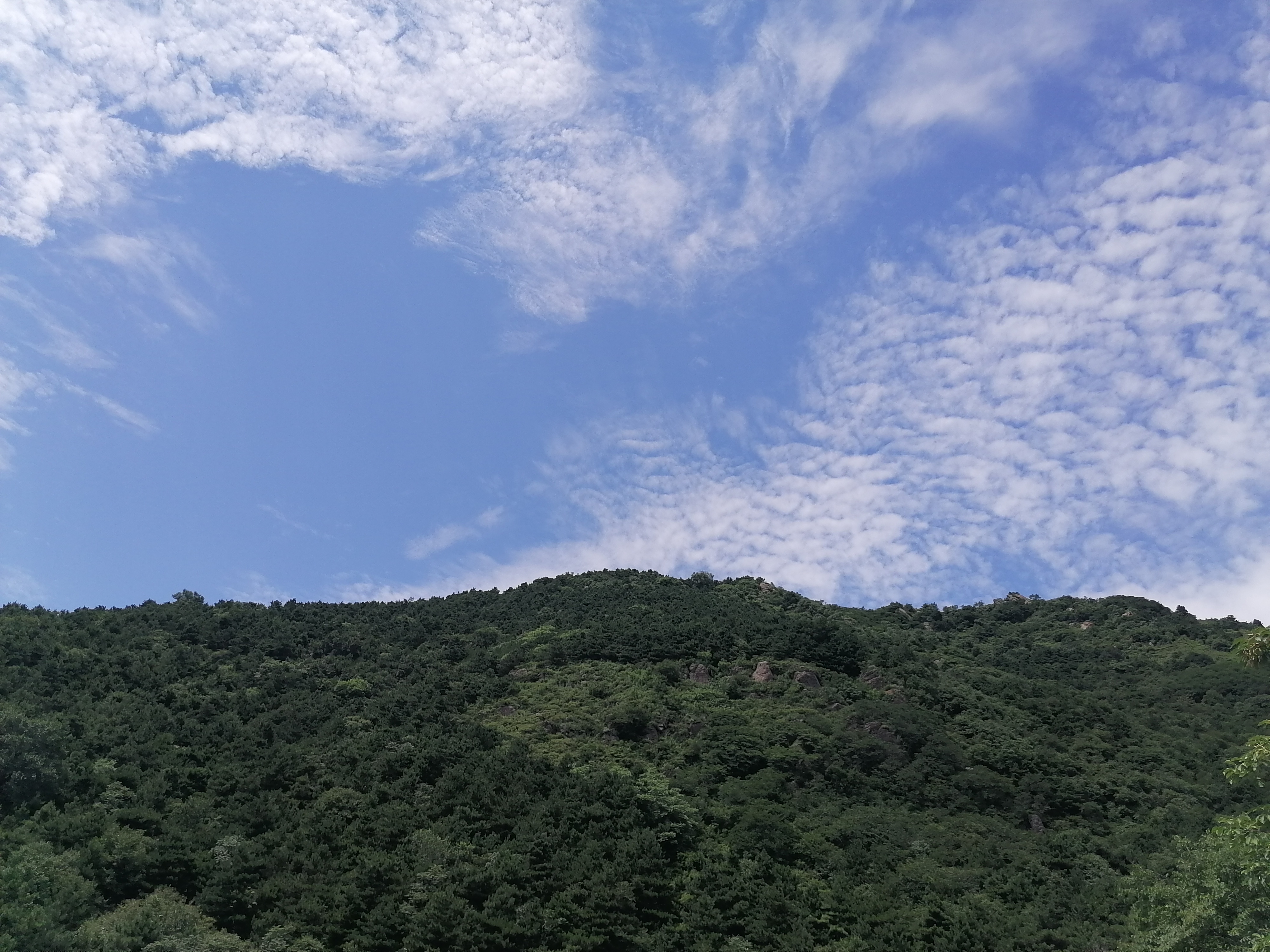 丛丛相亲交友平台