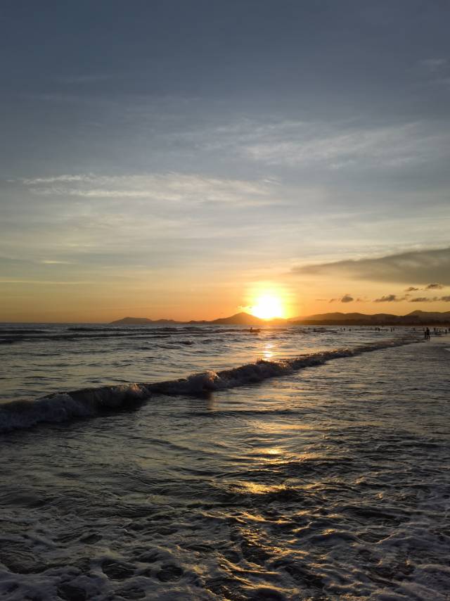 丛丛相亲交友平台