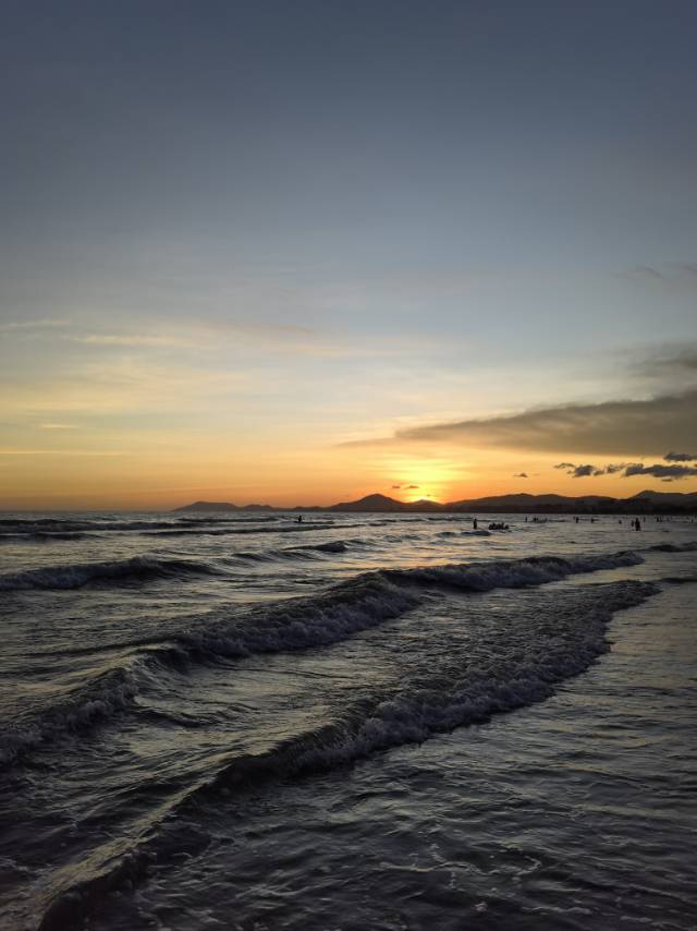 丛丛相亲交友平台