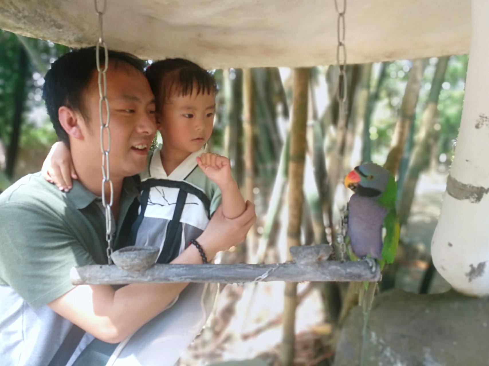 丛丛相亲交友平台