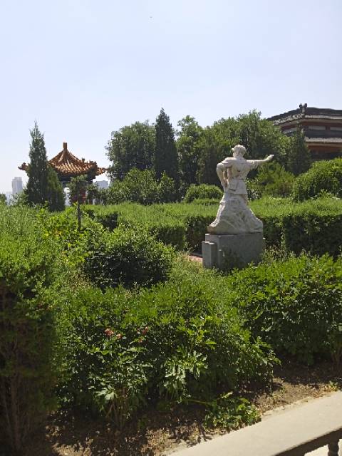 丛丛相亲交友平台