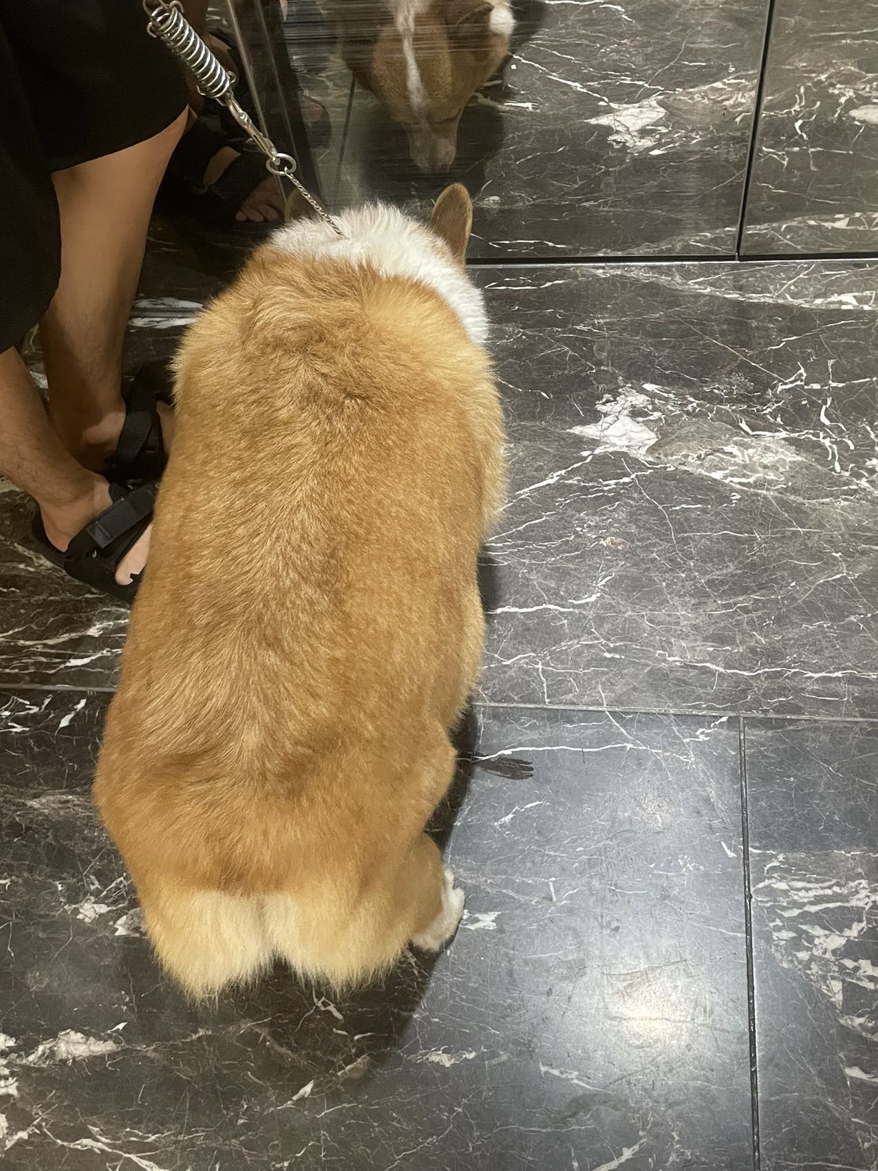 丛丛相亲交友平台