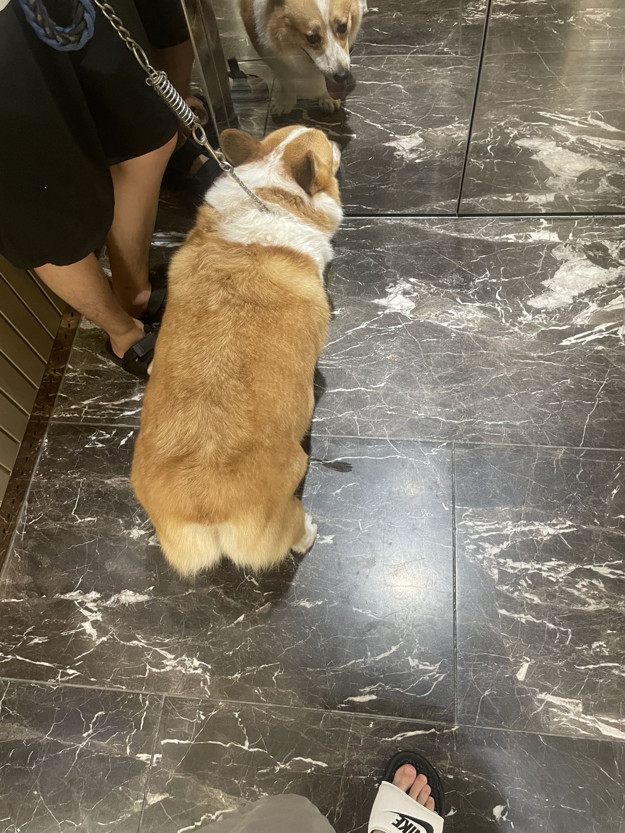 丛丛相亲交友平台