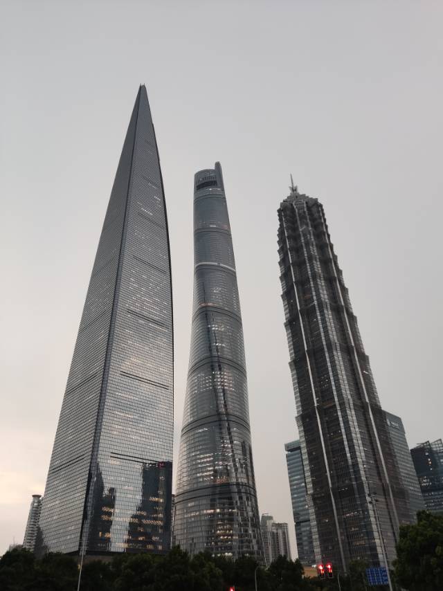 丛丛相亲交友平台