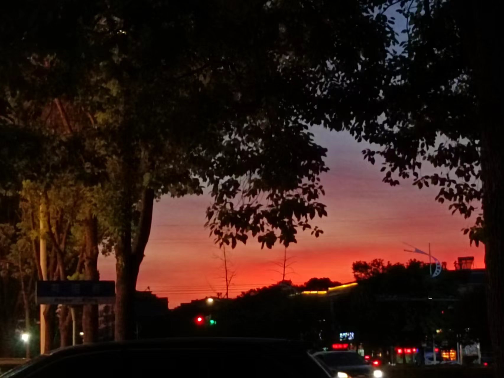 丛丛相亲交友平台