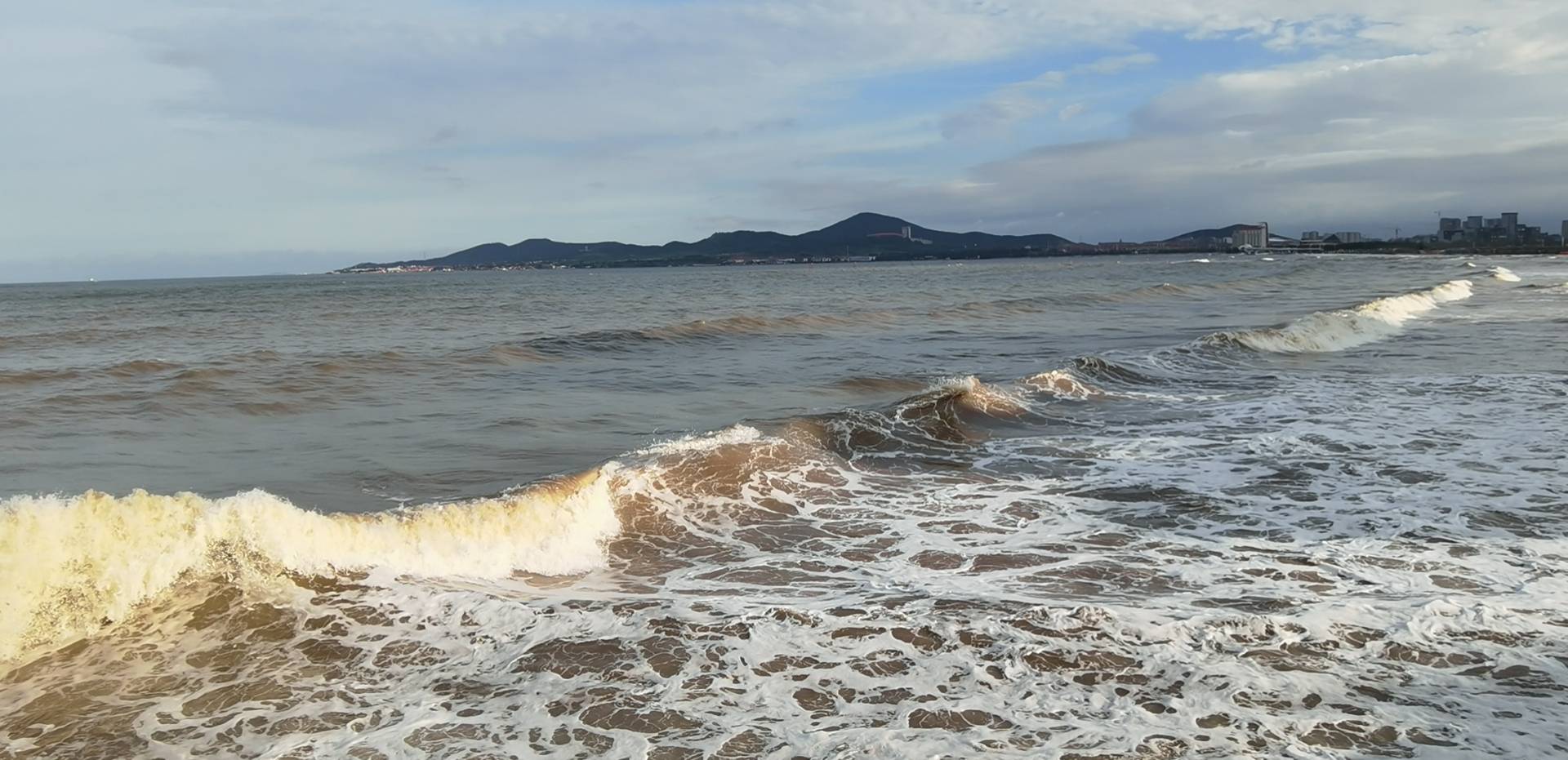 丛丛相亲交友平台