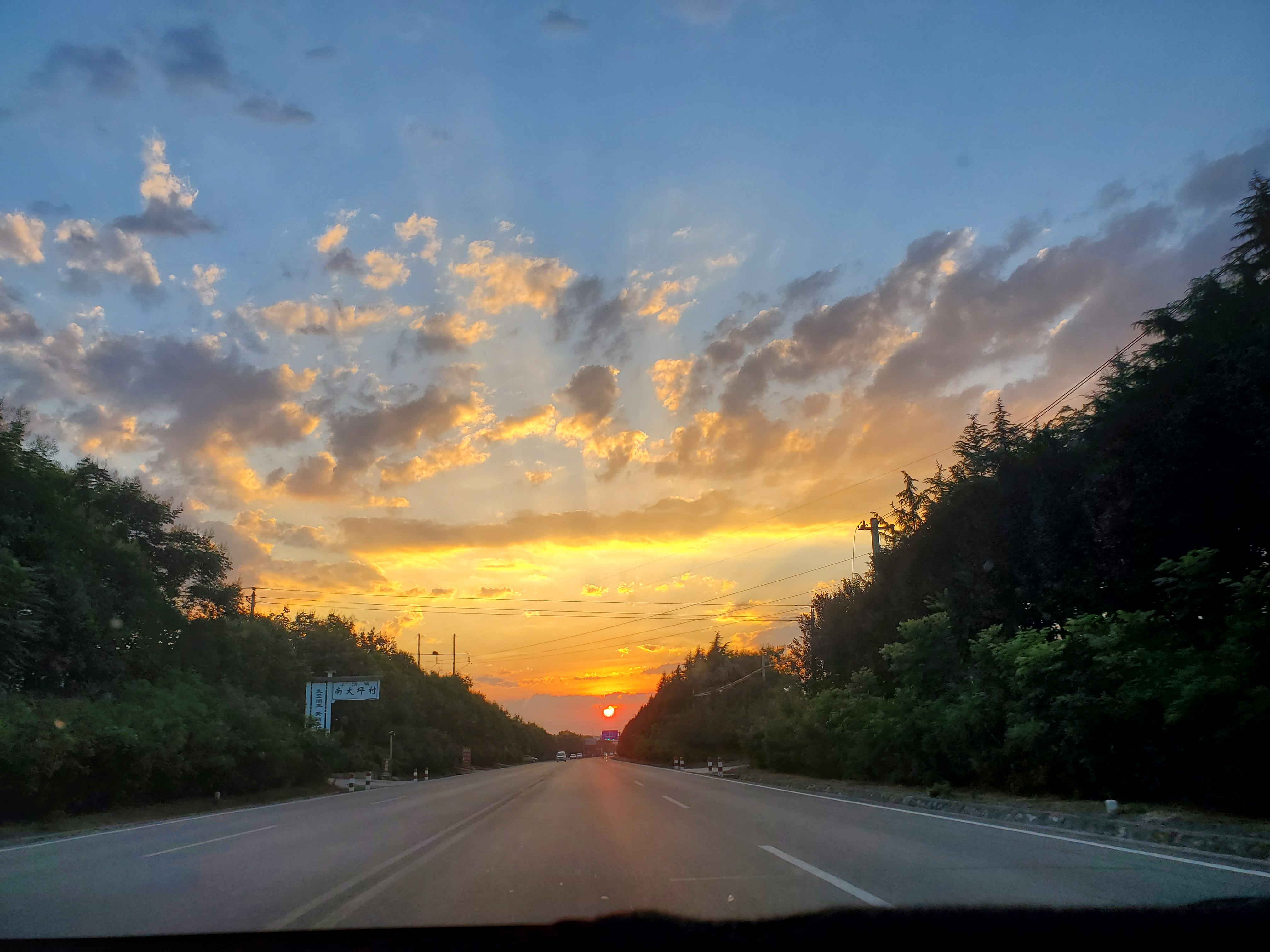 丛丛相亲交友平台