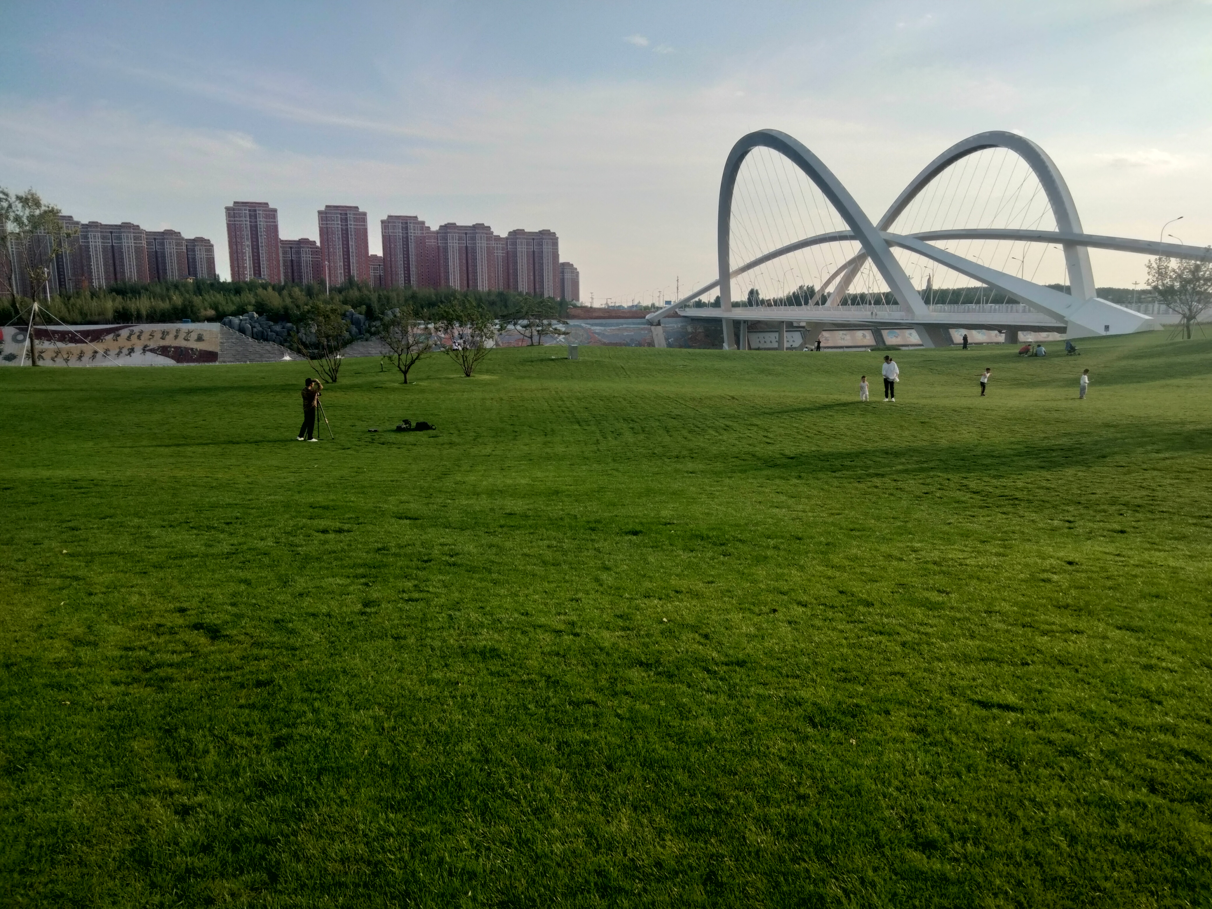 丛丛相亲交友平台