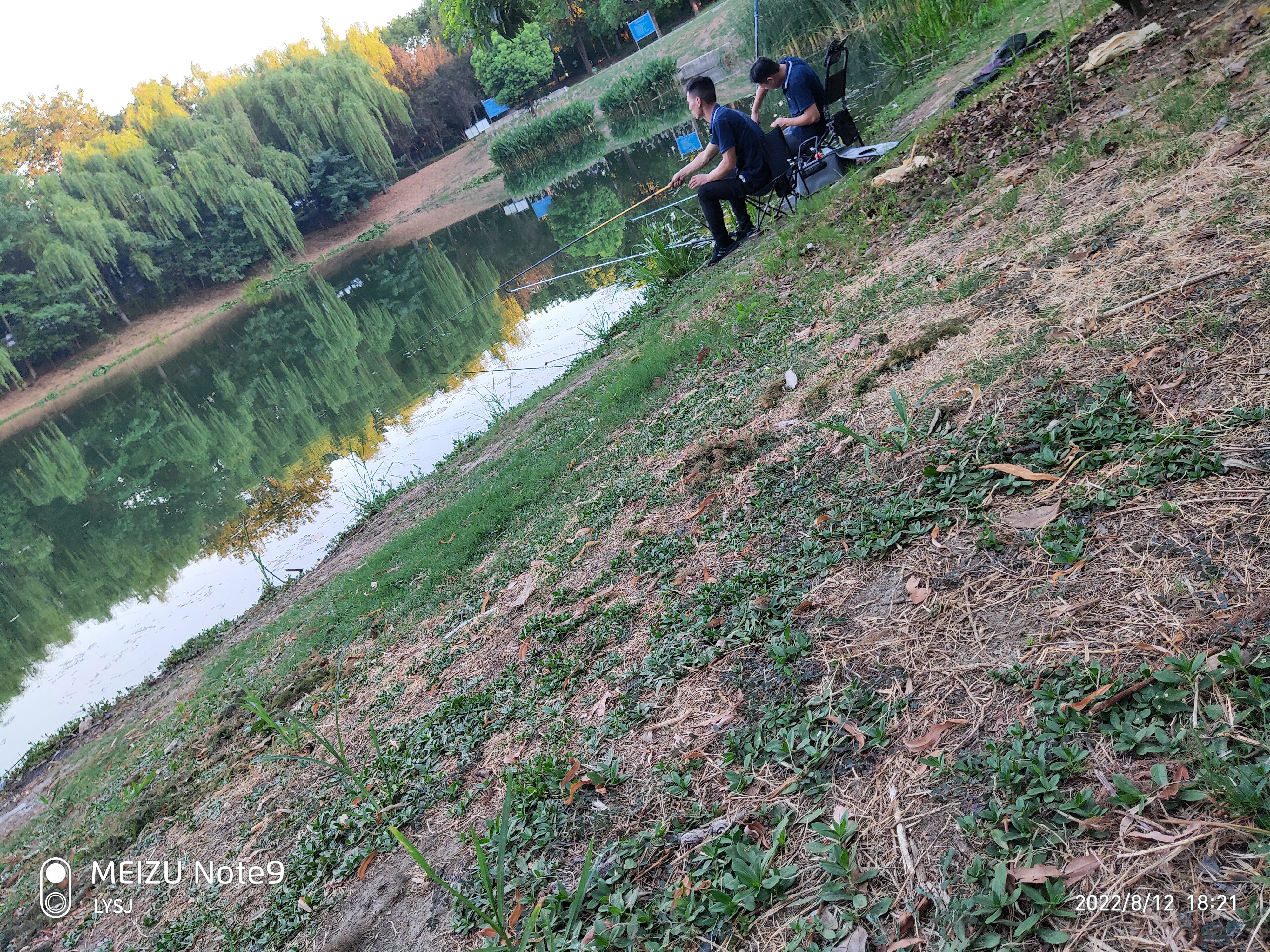 丛丛相亲交友平台