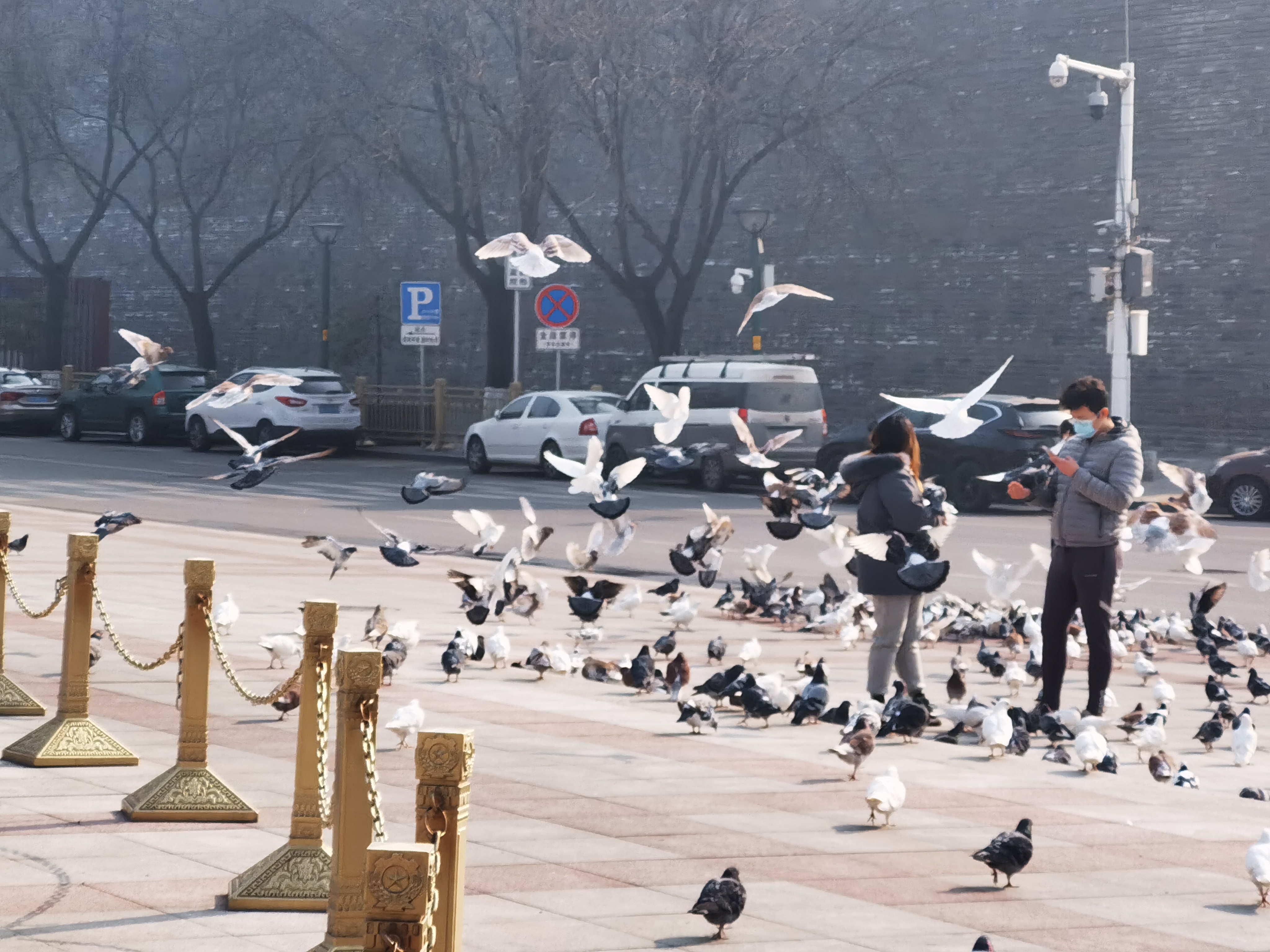 丛丛相亲交友平台