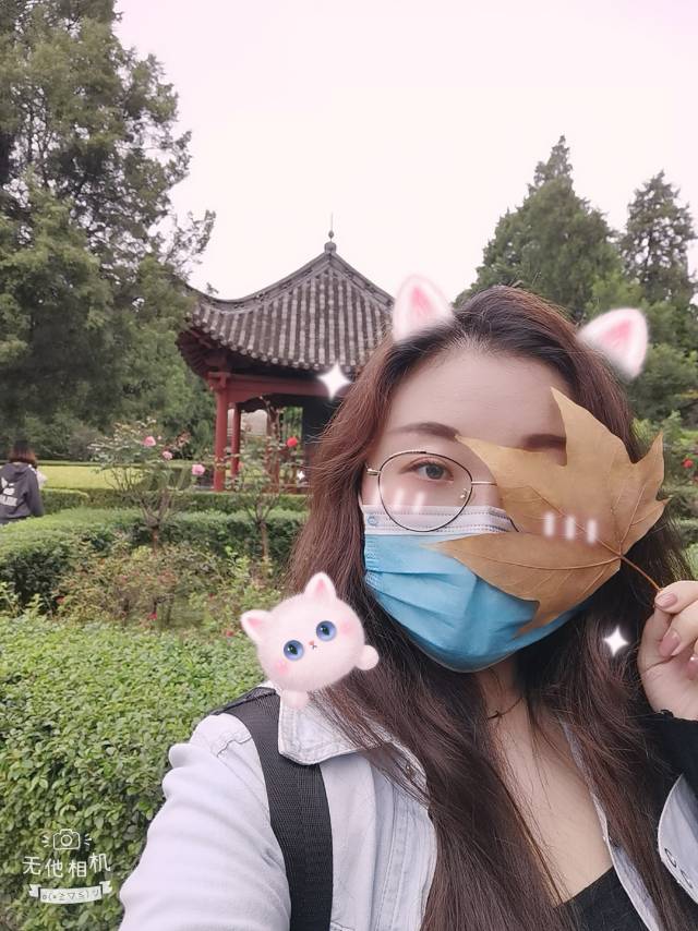 丛丛相亲交友平台