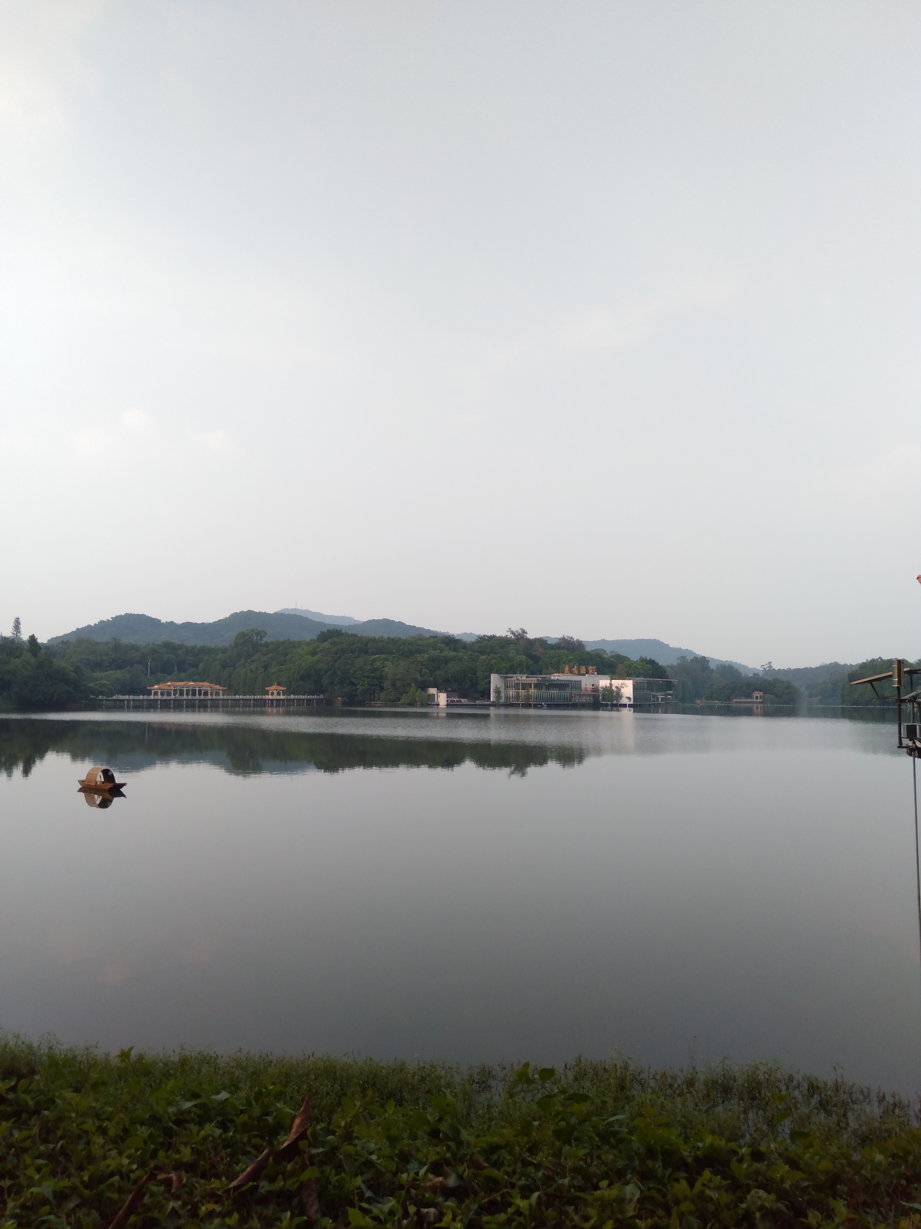 丛丛相亲交友平台