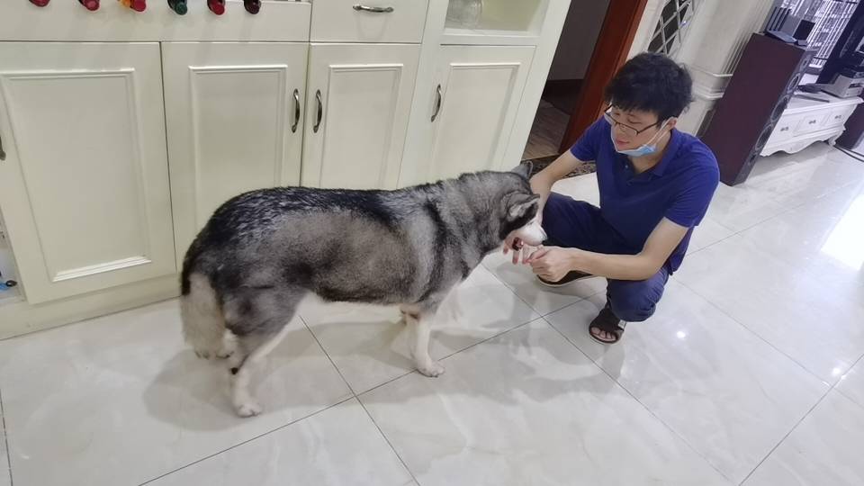 找搭子