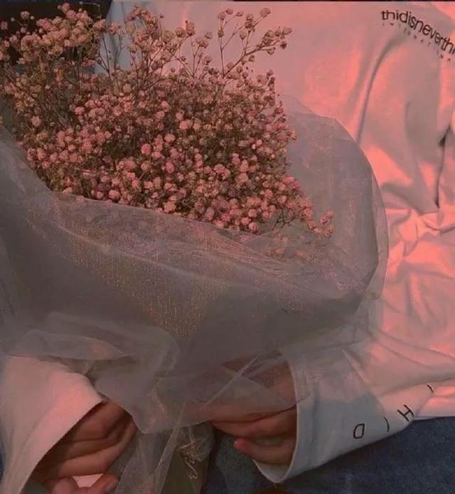 丛丛相亲交友平台