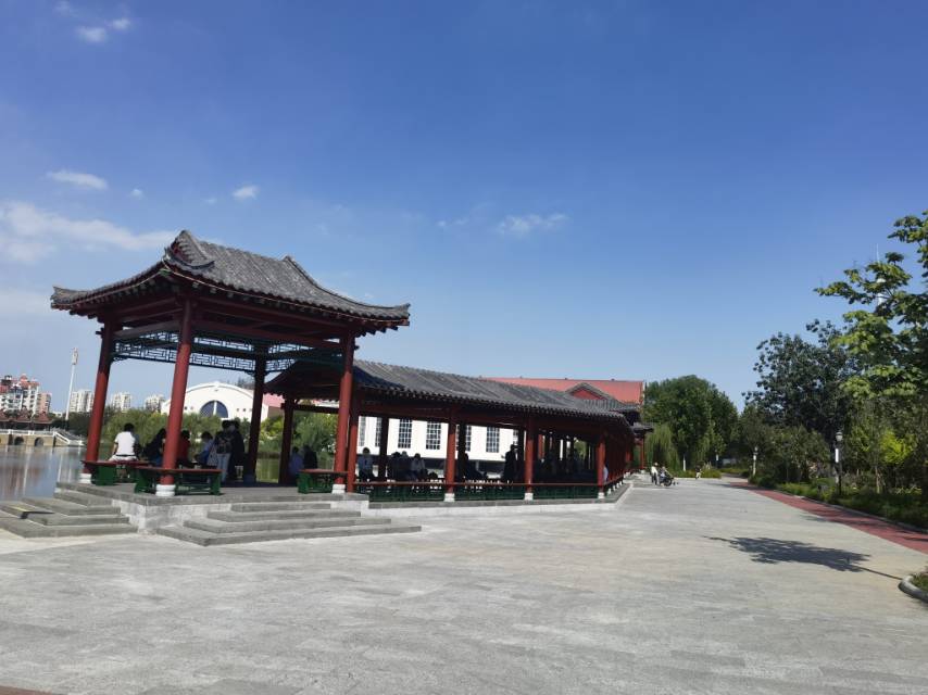 丛丛相亲交友平台