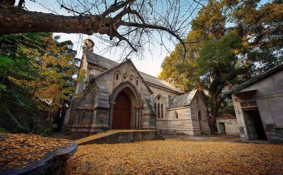 丛丛相亲交友平台