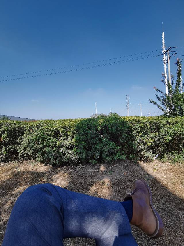 丛丛相亲交友平台