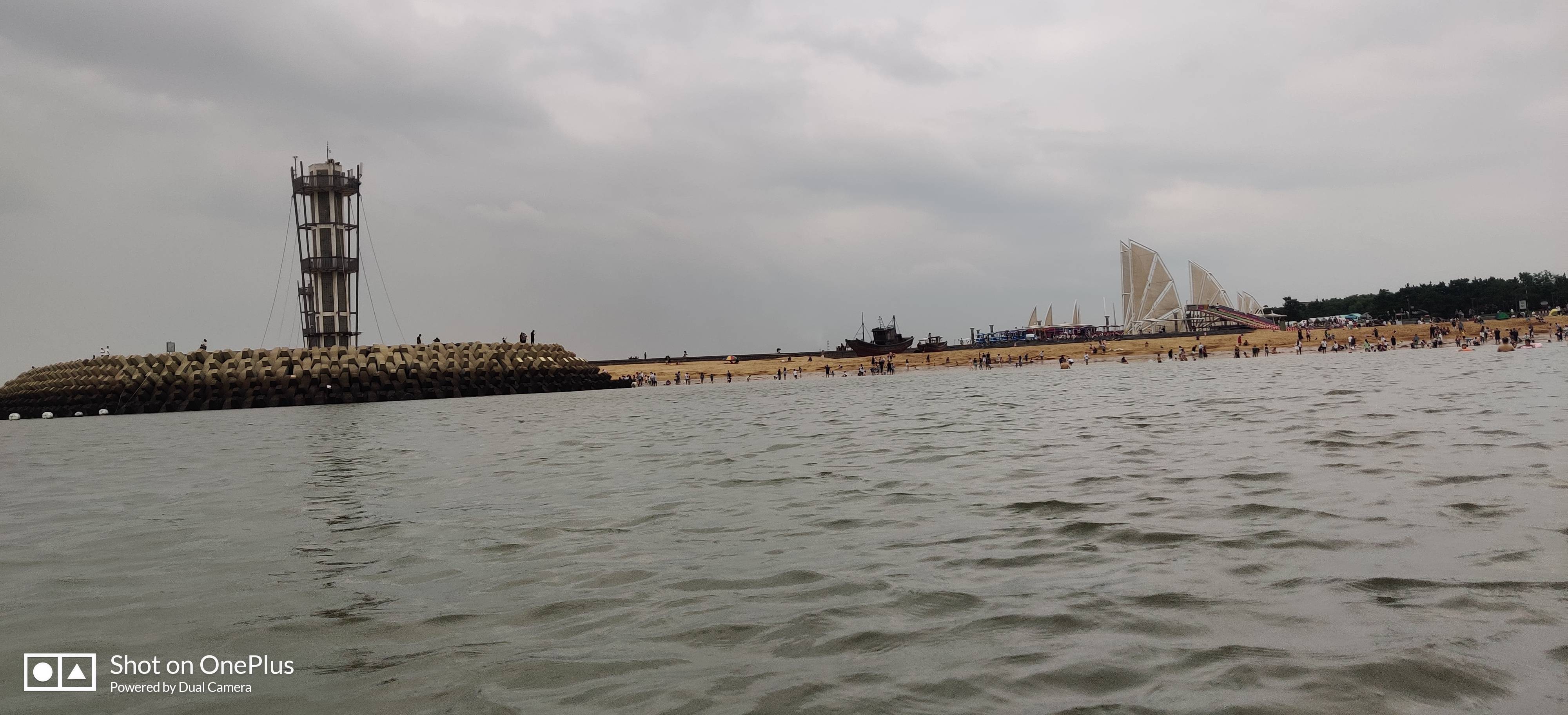 丛丛相亲交友平台