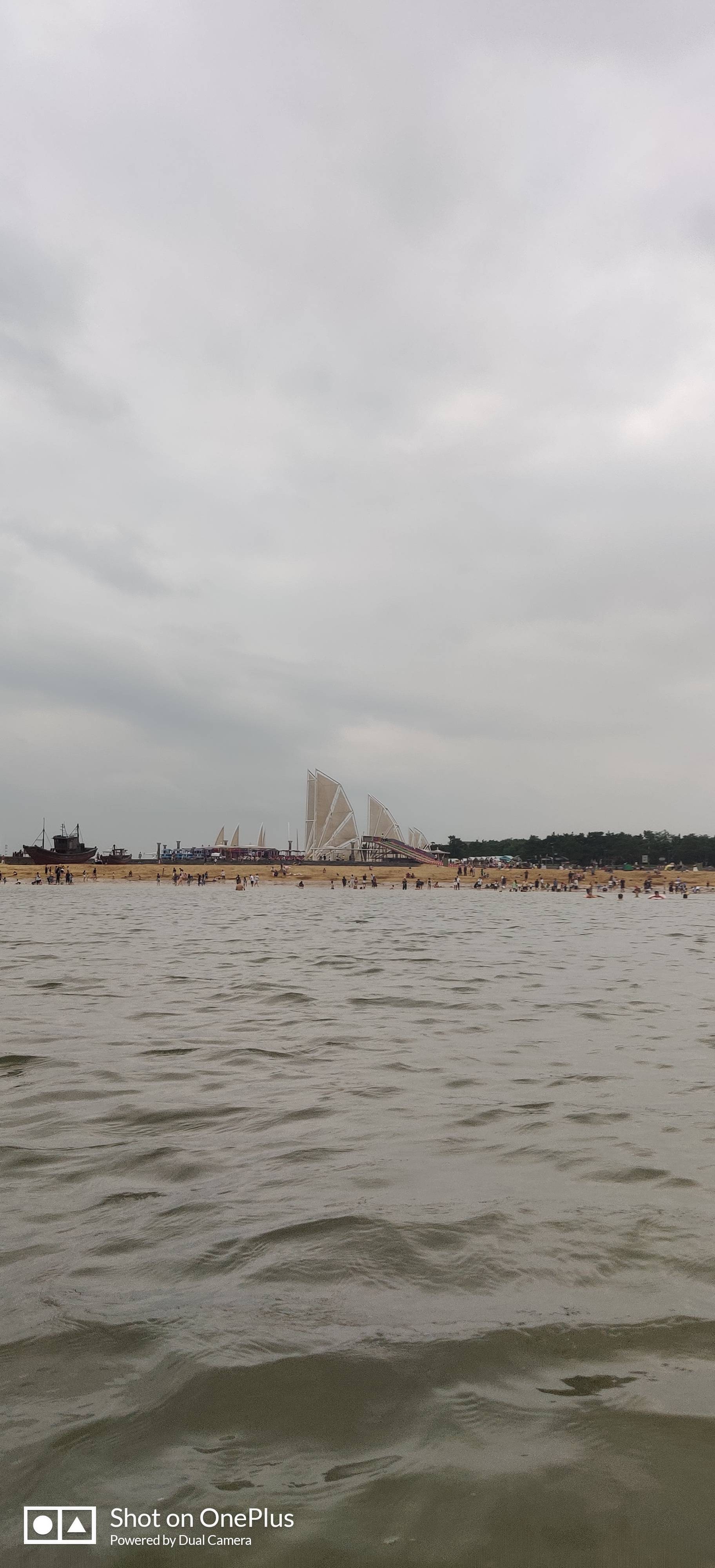 丛丛相亲交友平台