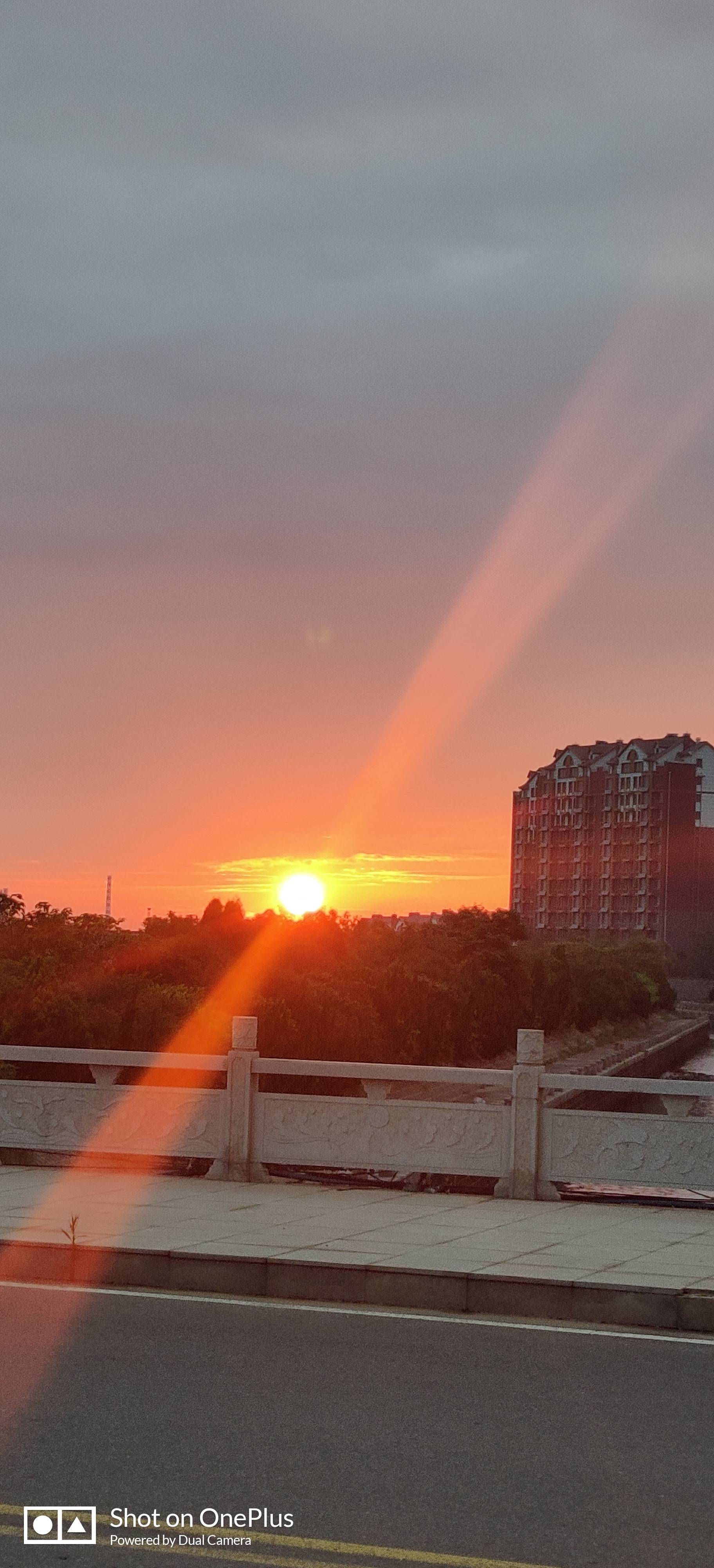 丛丛相亲交友平台