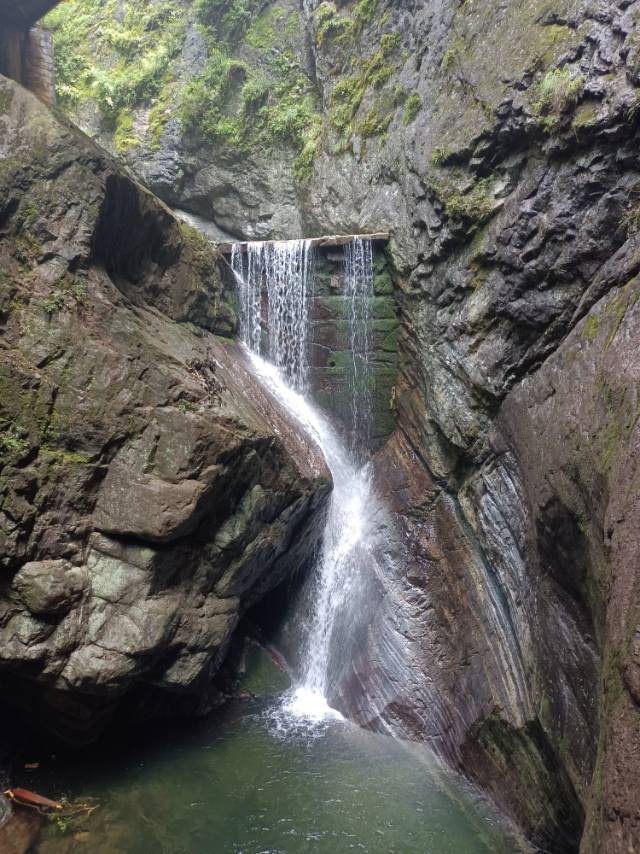 丛丛相亲交友平台