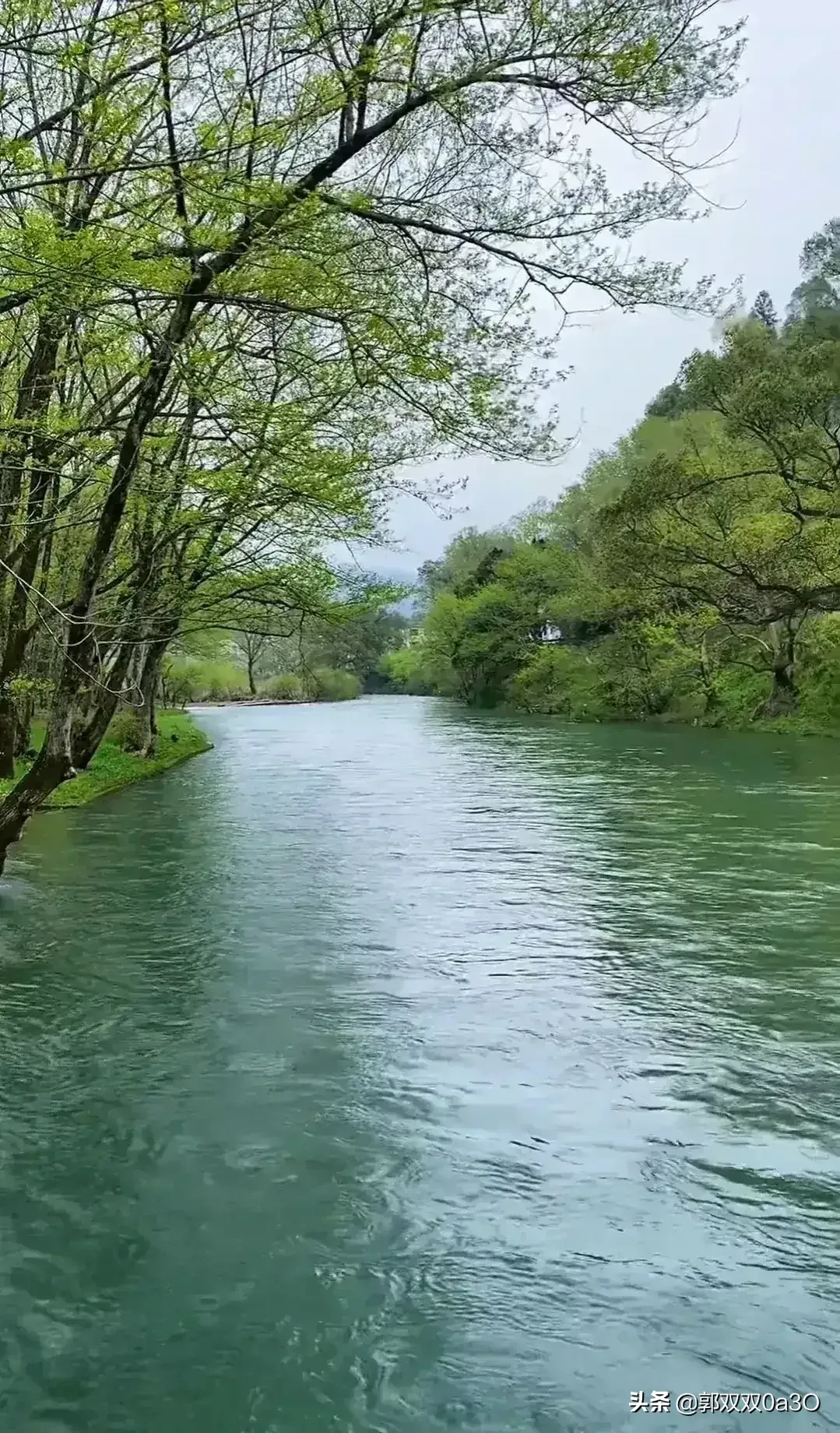 丛丛相亲交友平台