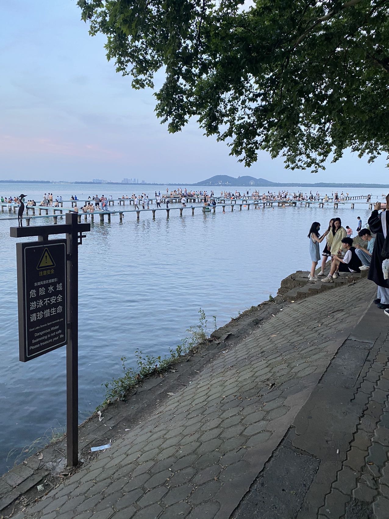 丛丛相亲交友平台