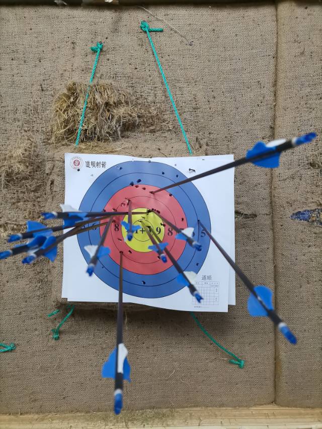 丛丛相亲交友平台