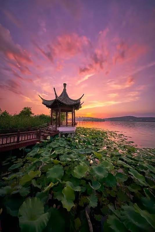 丛丛相亲交友平台