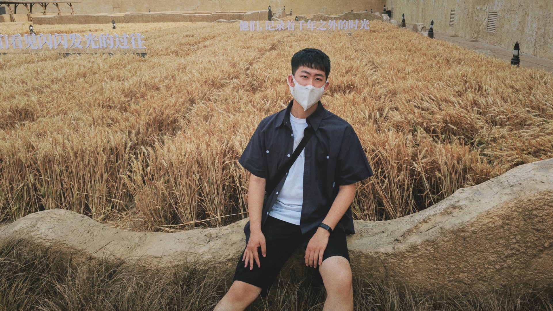 丛丛相亲交友平台