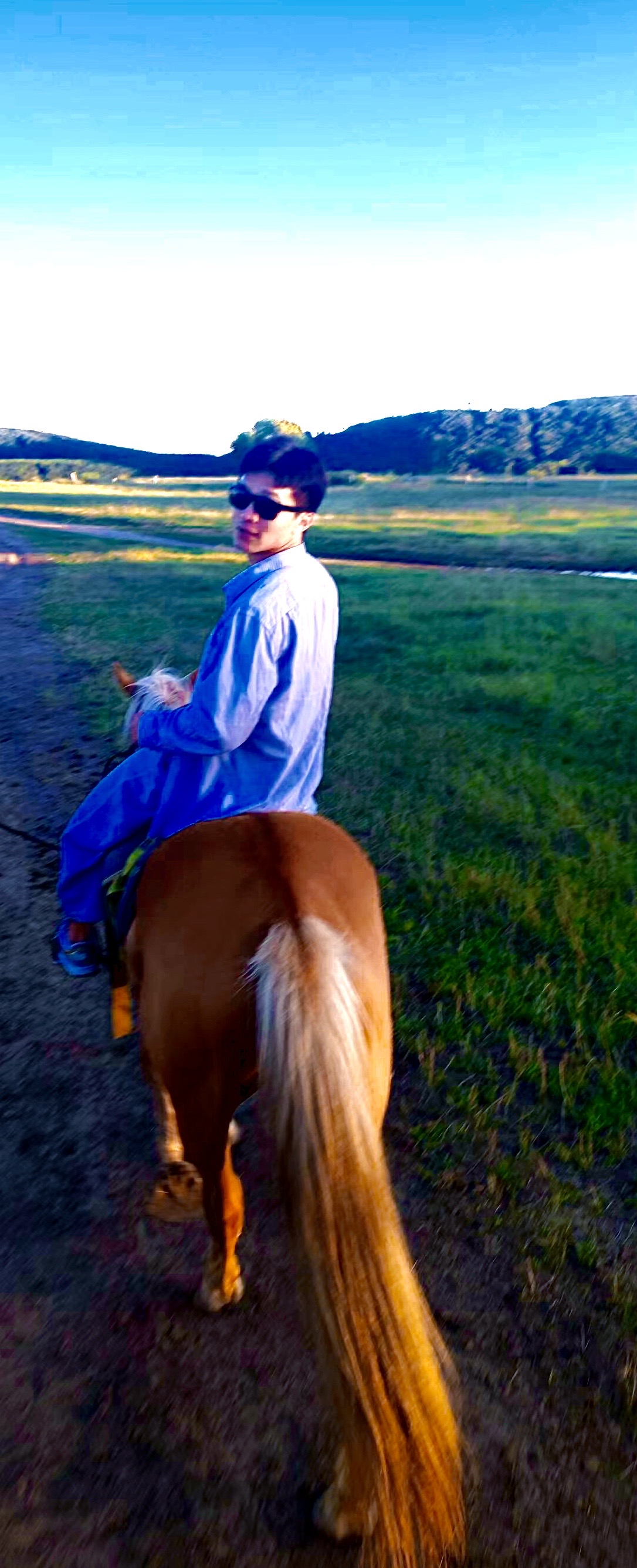 丛丛相亲交友平台