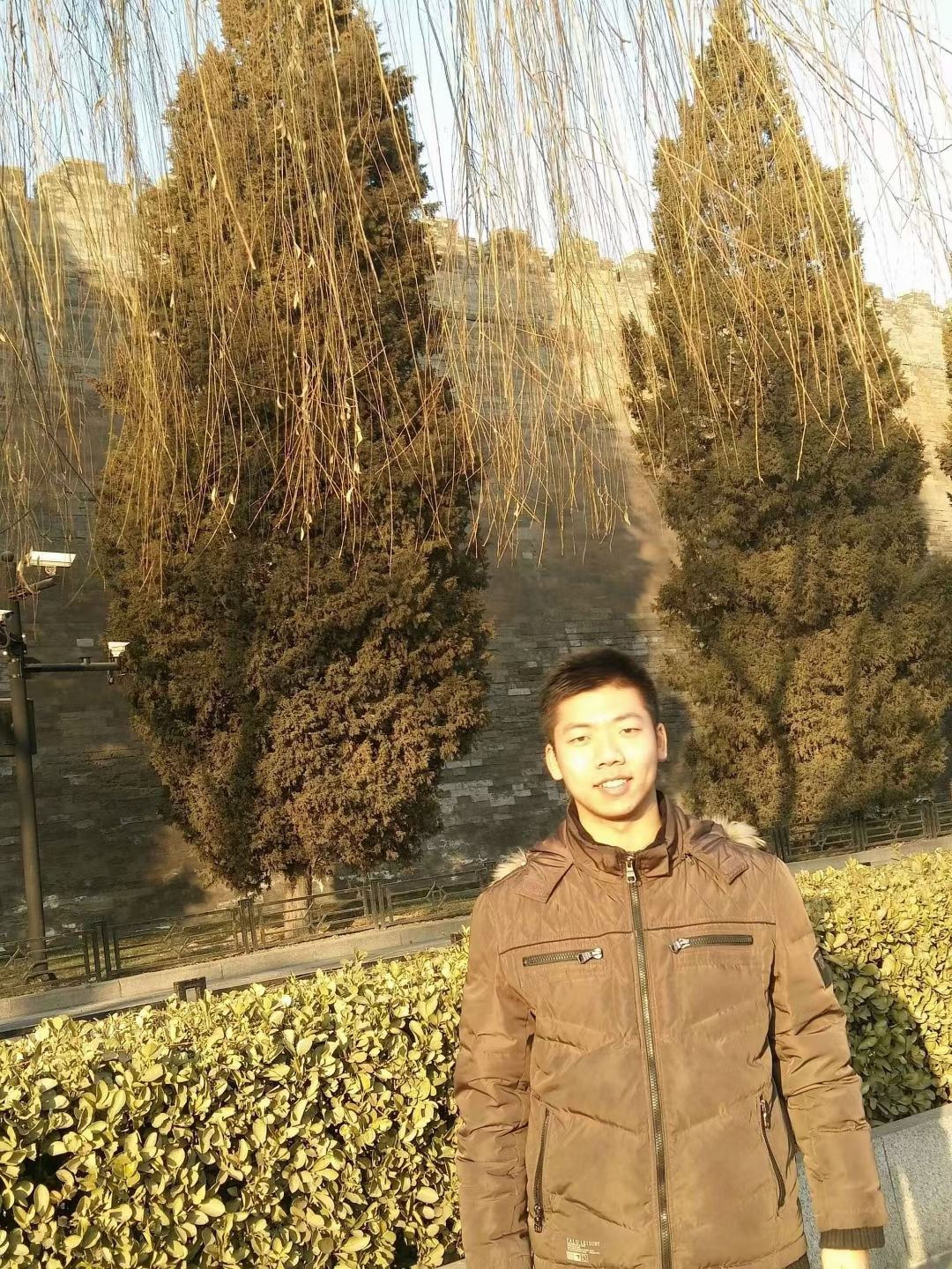 丛丛相亲交友平台